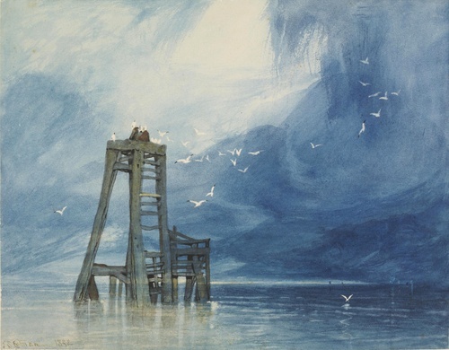 Study of Sea and Gulls