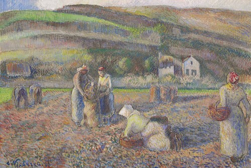 The Potato Harvest