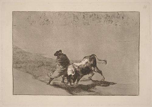 The Daring Student of Falces, Taunting the Bull