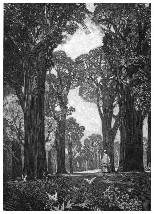 The Woodland