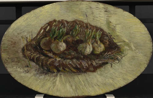 Basket of Hyacinth Bulbs