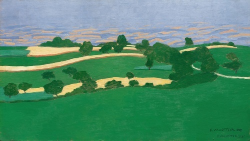 Corn Fields