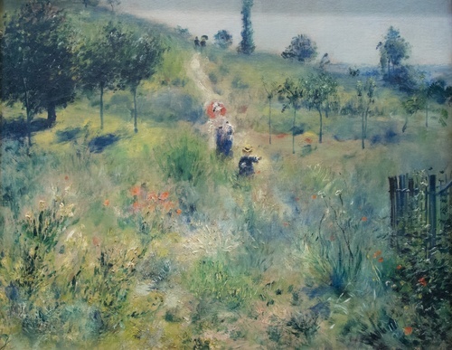 Chemin montant dans les hautes herbes