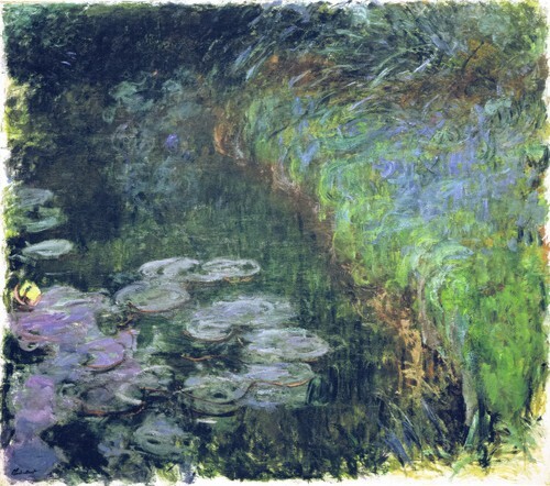 Water Lilies