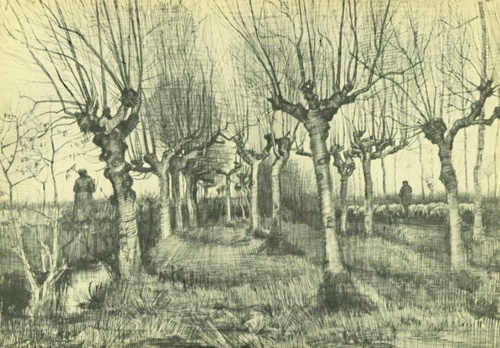 Pollard Birches and Shepherd