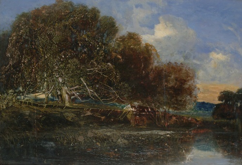 Woods by a pond