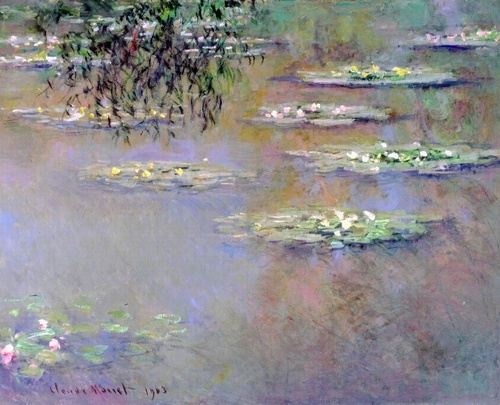 Water Lilies