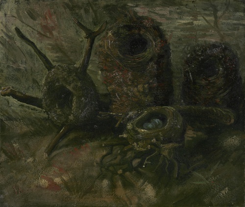 Birds' Nests