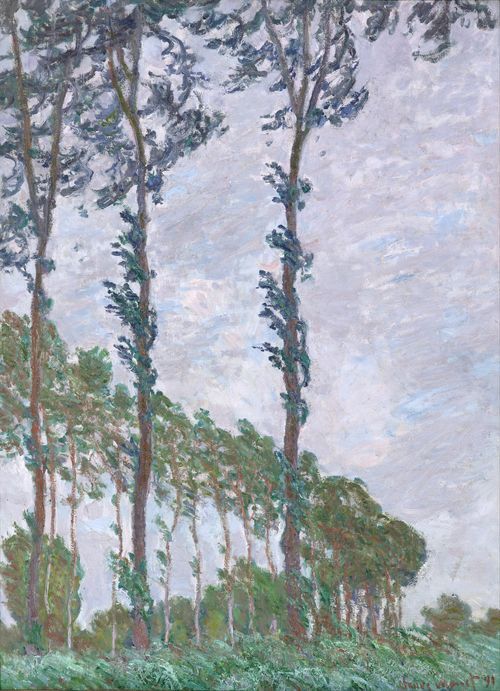 Wind Effect, Series of The Poplars