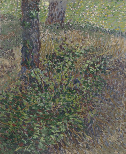 Undergrowth