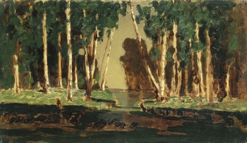 Birch grove