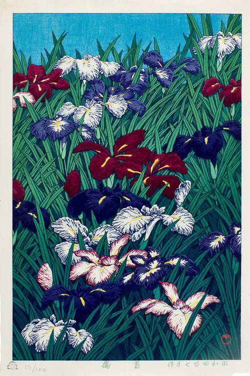 Iris 1929