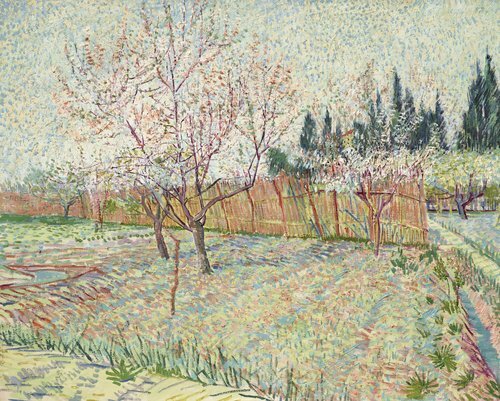 Orchard with Cypresses