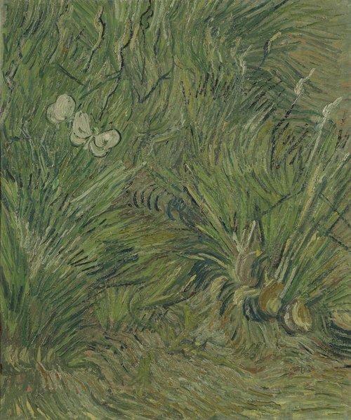 Garden with Butterflies