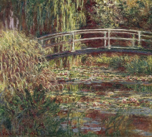 Water-Lily Pond, Symphony in Rose