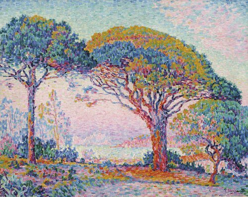 The Bay (Saint-Tropez)