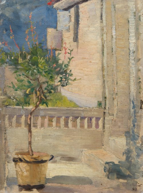 In the little garden