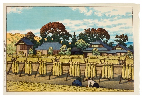 이바라키현 카네무라 마을 1954년