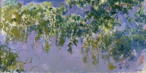 Wisteria Study