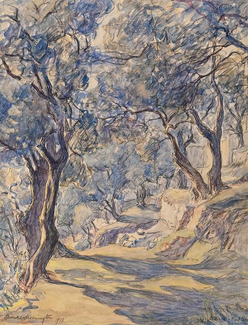Olive Grove