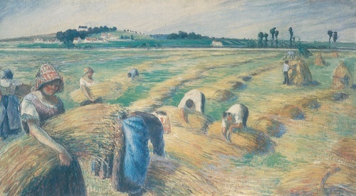 The Harvest