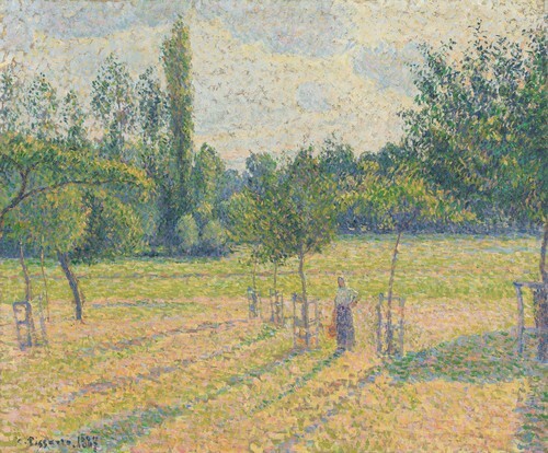 Late Afternoon in our Meadow