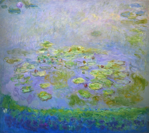 Waterlilies