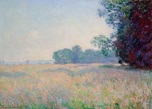 Oat Field
