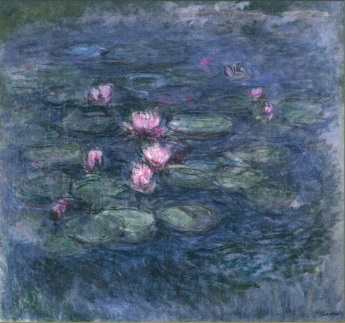 Water Lilies
