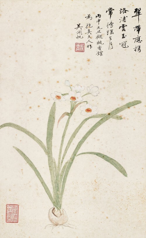 Orchid