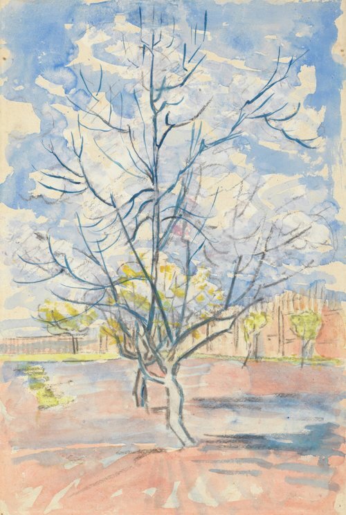 Blossoming Peach Tree