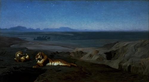 Night in the Desert