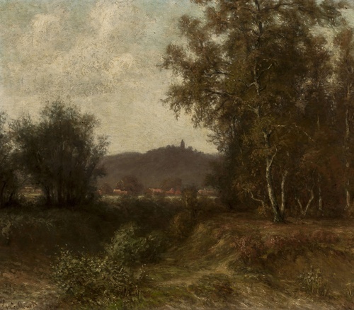 Rural scenery with trees