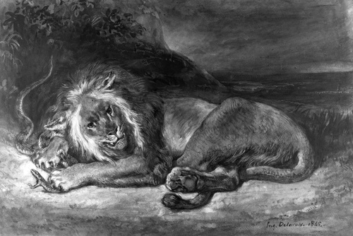 Lion and Snake