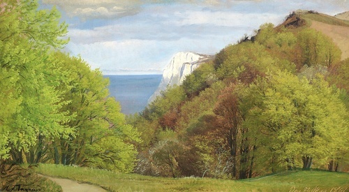 A view of Møns Klint