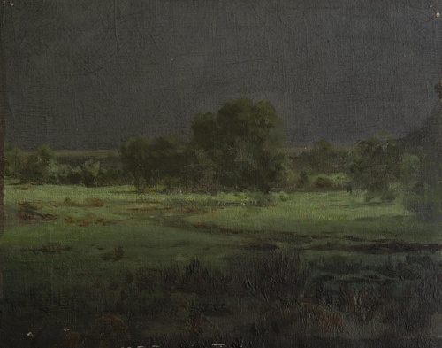 Un prado después de la lluvia
