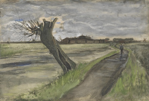 Pollard Willow