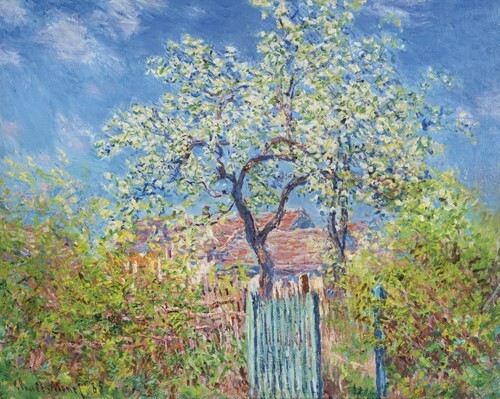 Pere in fiore