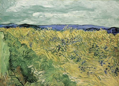 Wheat Field with Cornflowers