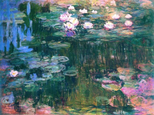 Water Lilies