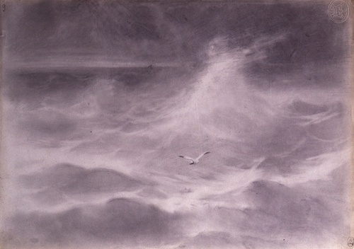 Wave and Seagull