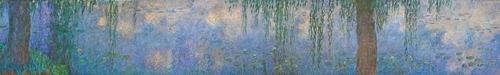 Willows in the Morning