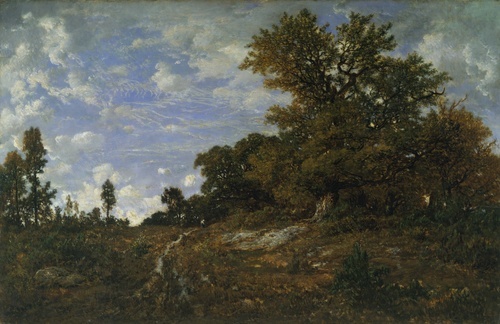 The Edge of the Woods at Monts-Girard, Fontainebleau Forest