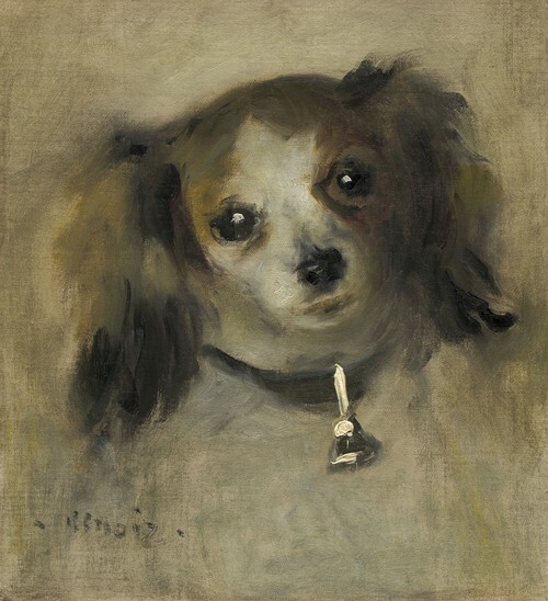 Dog's Head