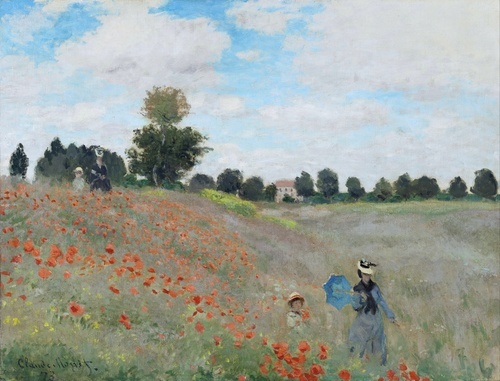 Poppies