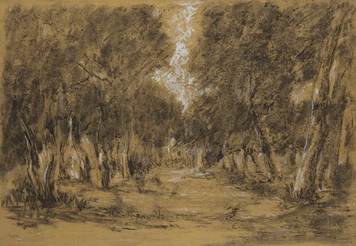 Wooded Landscape