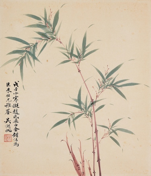 Bamboo