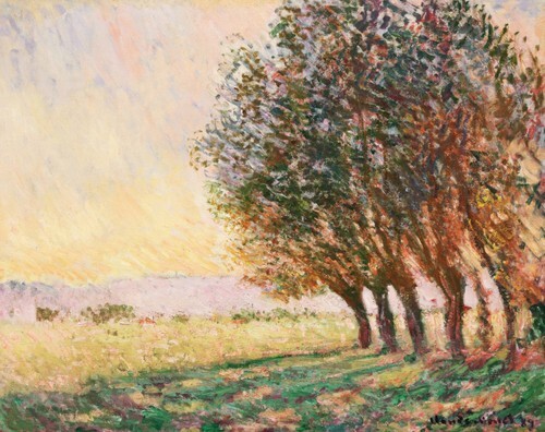 Willows at Sunset