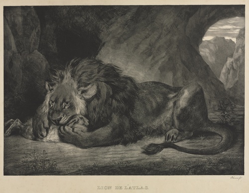 Singa Atlas
