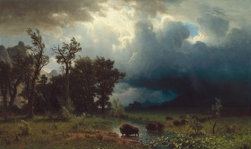 The Impending Storm